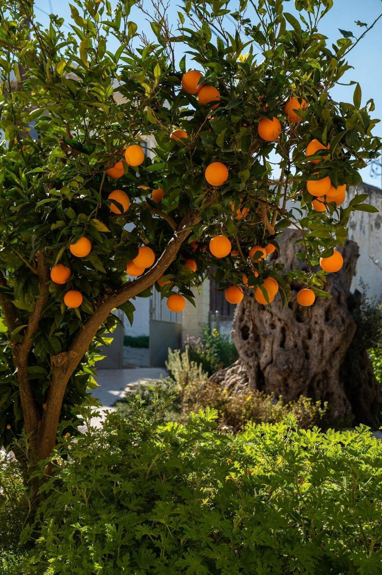 Physis Country House 2 Near Matala Beach & Faistos Kouses Bagian luar foto